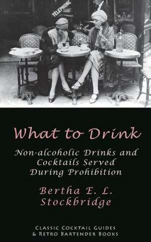 What to Drink: Non-Alcoholic Drinks and Cocktails Served During Prohibition de Bertha E. L. Stockbridge