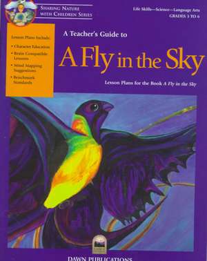 A Teacher's Guide to a Fly in the Sky de Bruce Malnor