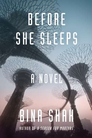 Before She Sleeps de Bina Shah