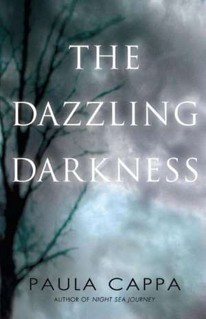 The Dazzling Darkness de Paula Cappa