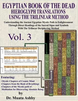 Egyptian Book of the Dead Hieroglyph Translations Using the Trilinear Method Volume 3 de Muata Ashby