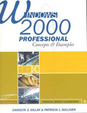 Windows 2000 Professional: Concepts & Examples [With Disk] de Carolyn Z. Gillay