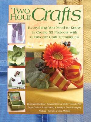 Two Hour Crafts de Landauer Books