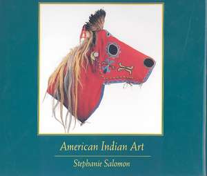 American Indian Art de Stephanie Salomon