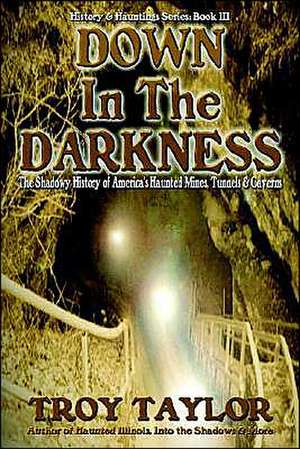 Down in the Darkness de Troy Taylor