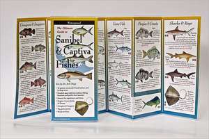 The Ultimate Guide to Sanibel & Captiva Fishes de Bob Shipp