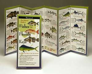 Fishes of the Florida Keys de Robert Shipp