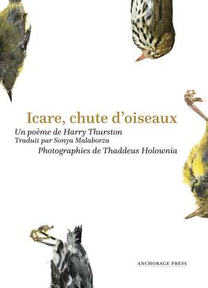 Icare, chute d’oiseaux de Harry Thurston