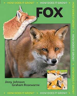 Fox de JINNY JOHNSON