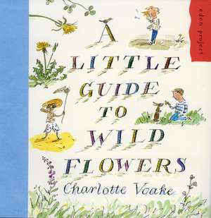 A Little Guide to Wild Flowers de Charlotte Voake