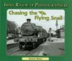 Chasing the Flying Snail de Anthony Burges