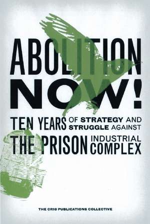 Abolition Now!: Ten Years of Strategy & Struggle Against the Prison Industrial Complex