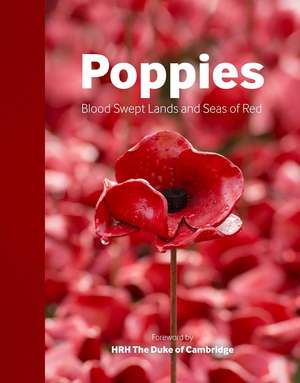 Poppies: Blood Swept Lands and Seas of Red de Imperial War Museums