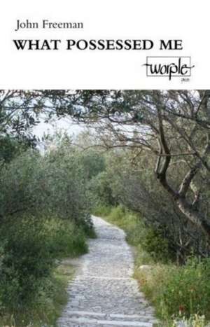 What Possessed Me de John Freeman