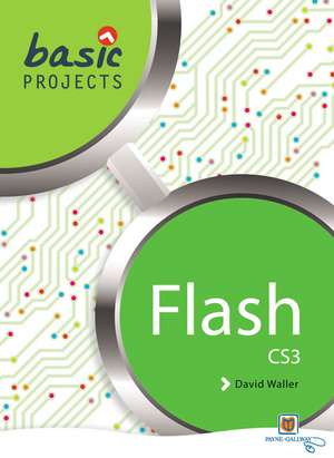 Basic Projects in Flash de David Waller