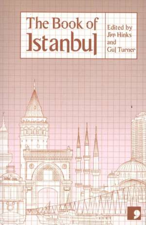 The Book of Istanbul: A City in Short Fiction de Hinks