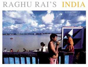 Raghu Rai's India: Reflections in Colour de Raghu Rai