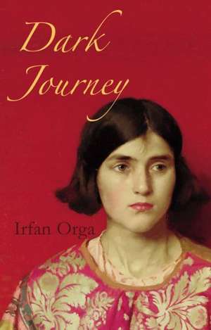 Dark Journey de Irfan Orga