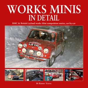 Works Minis in Detail de Robert Young