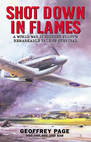 Shot Down in Flames de Geoffrey Page