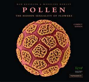 Pollen de R Kesseler