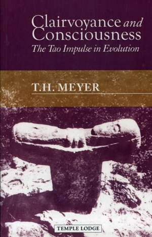 Clairvoyance and Consciousness de Th Meyer