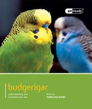 Budgerigar de Catherine Smith