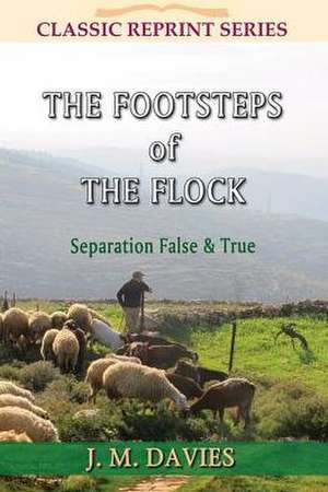 The Footsteps of the Flock: Separation False & True de J. M. Davies