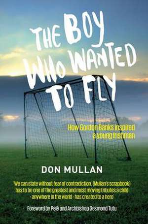 The Boy Who Wanted To Fly de Don Mullan