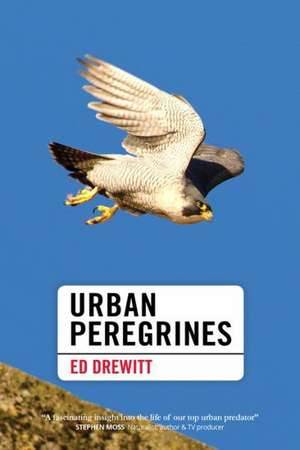 Urban Peregrines de Ed Drewitt