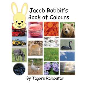 Jacob Rabbit's Book of Colour: I Love Trains