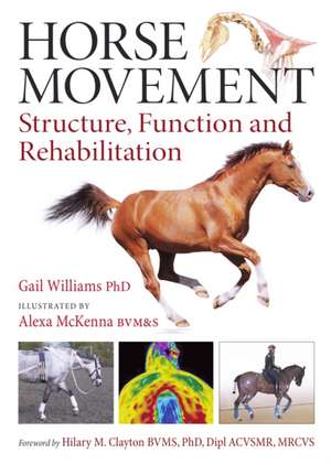Horse Movement de Gail Williams