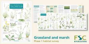 Plant Identification for Phase 1 Habitat Survey: Grassland and Marsh de Hilary Wallace