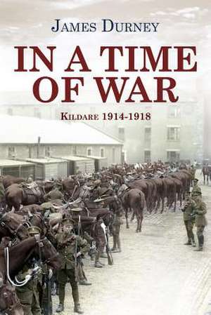 In a Time of War: Kildare 1914-1918 de James Durney