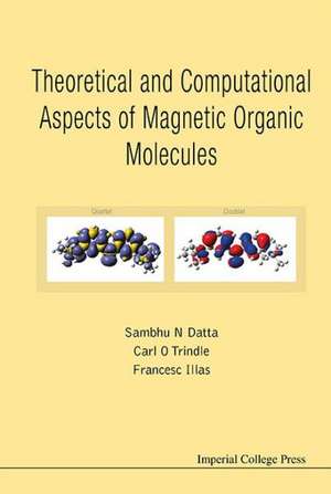 Theoretical and Computational Aspects of Magnetic Organic Molecules: The Cause of Complexity and Symmetry Breaking de SAMBHU N DATTA