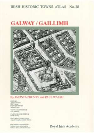 Irish Historic Towns Atlas No. 28 de Jacinta Prunty