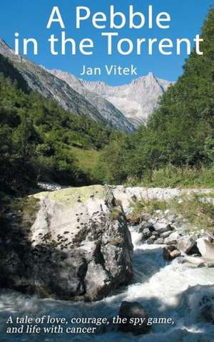 A Pebble in the Torrent de Jan Vitek