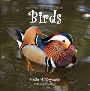 Draw Your Own Encyclopaedia Birds de Colin M Drysdale