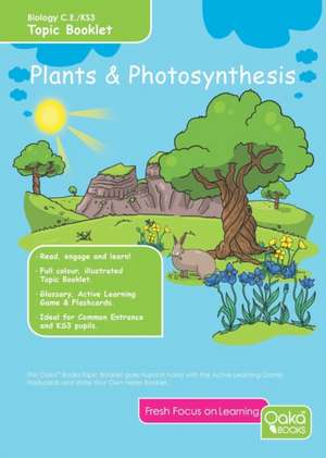 PLANTS PHOTOSYNTHESIS