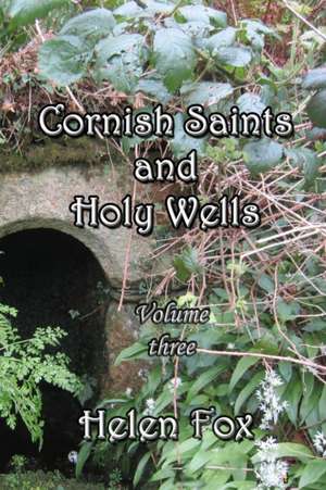 Cornish Saints and Holy Wells - Volume 3 de Helen Fox