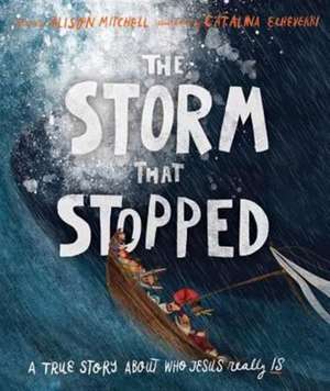 The Storm That Stopped de Alison Mitchell