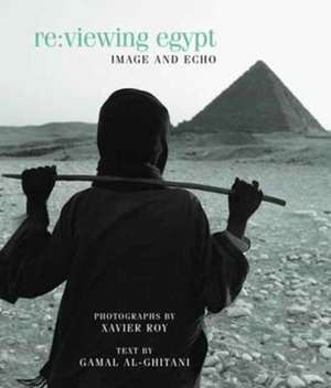 Re Viewing Egypt de Xavier Roy