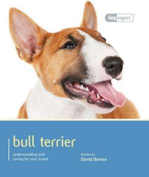 BULL TERRIER de DAVID DAVIES