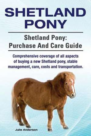 Shetland Pony. Shetland Pony de Julie Anderson