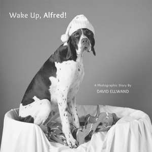 Wake Up, Alfred! de David Ellwand