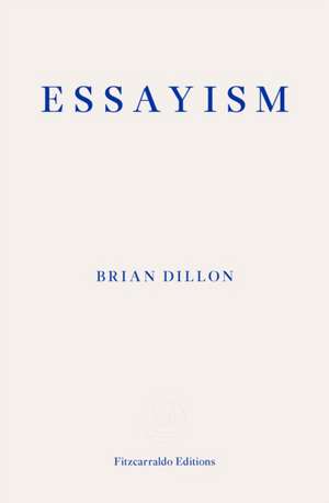 Essayism de Brian Dillon