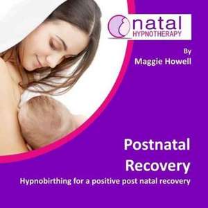 Postnatal Recovery de MAGGIE HOWELL