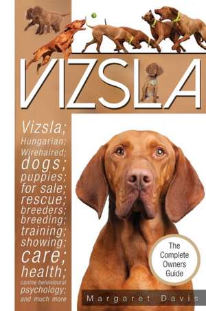 Vizsla de Margaret Davis