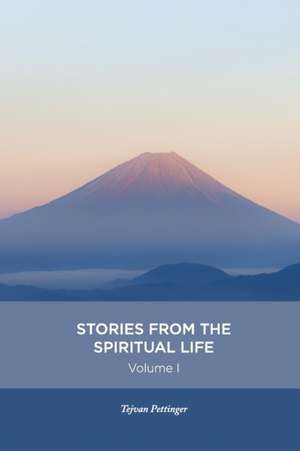 Stories from the spiritual life - Volume 1 de Tejvan Pettinger