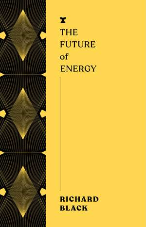 The Future of Energy de Richard Black